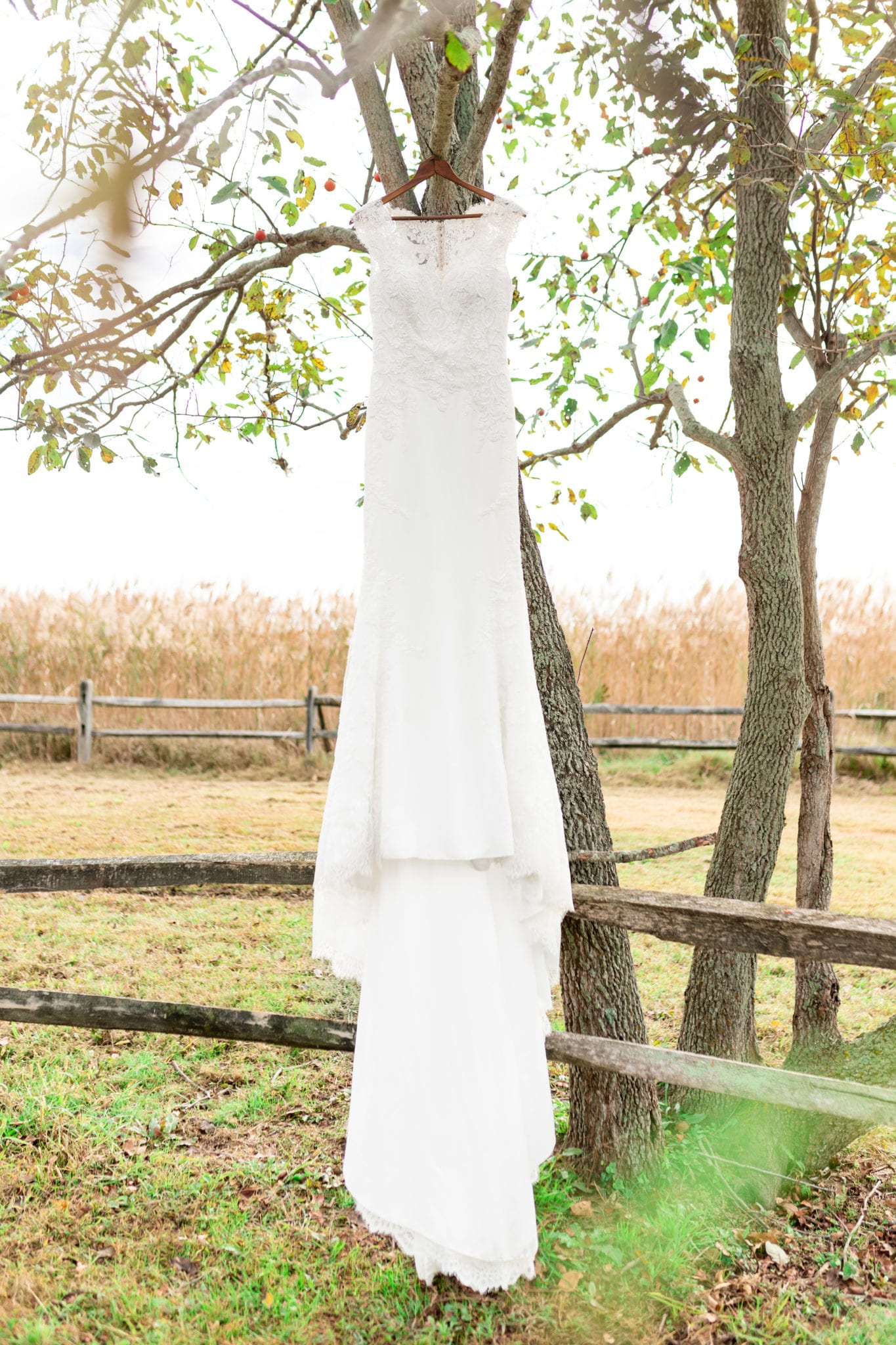 Eastern Shore Wedding- 0005