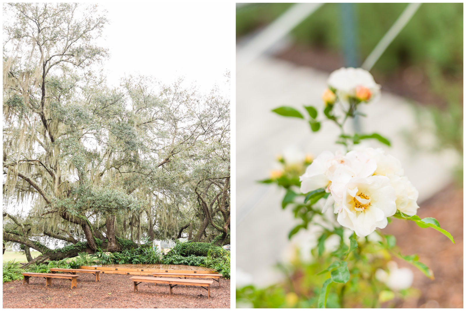 Mill Pond Estate | Wedding Venue in Seffner Florida
